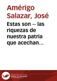 Portada:Estas son -- las riquezas de nuestra patria que acechan los extranjeros : ¡toda la juventud española unida en su defensa! / Amérigo S.