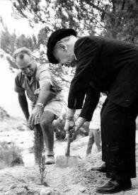 Portada:Plano general de Arthur Rubinstein (perfil izquierdo) plantando un árbol ayudado por un hombre