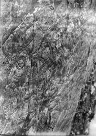 Fotografía de una piedra con supuestos caracteres grabados