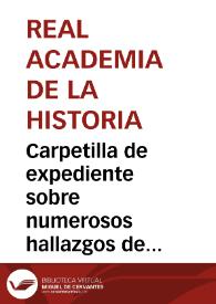Portada:Carpetilla de expediente sobre numerosos hallazgos de inscripciones e idolillos de bronce en las inmediaciones de Baeza y Villacarrillo.