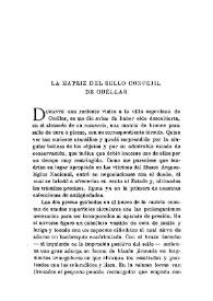Portada:La matriz del sello concejil de Cuéllar / El Marqués de Lozoya
