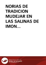 Portada:NORIAS DE TRADICION MUDEJAR EN LAS SALINAS DE IMON (GUADALAJARA) (1ª parte) / Cruz Garcia, Oscar