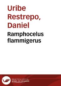 Portada:Ramphocelus flammigerus