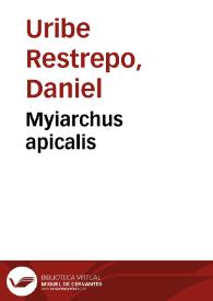 Portada:Myiarchus apicalis