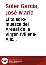 Portada:El taladro-muesca del Arenal de la Virgen (Villena-Alicante) / José María Soler García