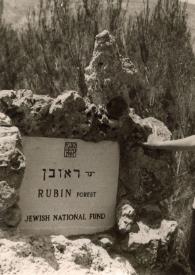 Portada:Plano medio de Ariela Rubin, Rueven Rubin y Esther Rubin posando delante de la placa conmemorativa del Bosque Rubin