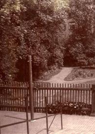 Portada:Plano general de un parque