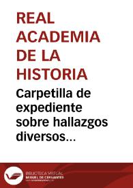 Portada:Carpetilla de expediente sobre hallazgos diversos procedentes de una excavación hecha en Camarzana (Zamora).