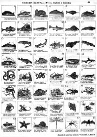 Portada:Historia natural: peces, reptiles e insectos : peces, reptiles e insectos