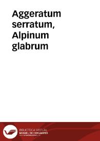 Portada:Aggeratum serratum, Alpinum glabrum