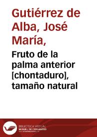 Portada:Fruto de la palma anterior [chontaduro], tamaño natural