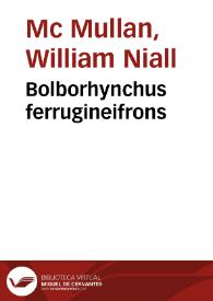 Portada:Bolborhynchus ferrugineifrons