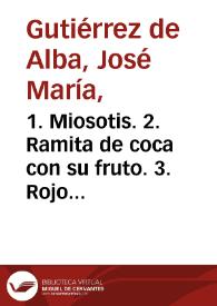 Portada:1. Miosotis. 2. Ramita de coca con su fruto. 3. Rojo de cayena. Flora de las tierras calientes