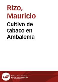 Portada:Cultivo de tabaco en Ambalema