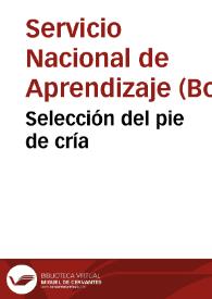 Portada:Selección del pie de cría