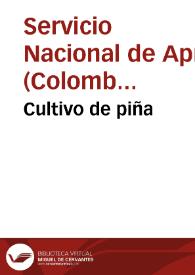 Portada:Cultivo de piña