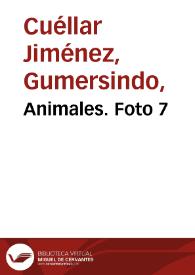 Portada:Animales. Foto 7