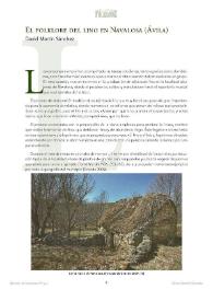 Portada:El folklore del lino en Navalosa (Ávila) / David Martín Sánchez
